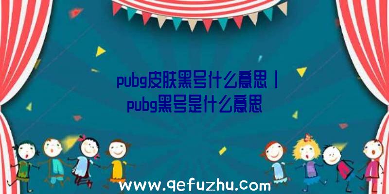 「pubg皮肤黑号什么意思」|pubg黑号是什么意思